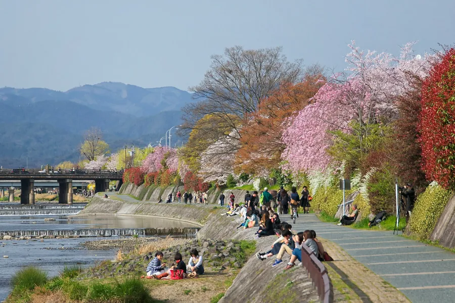 Sông Kamogawa (Kyoto)