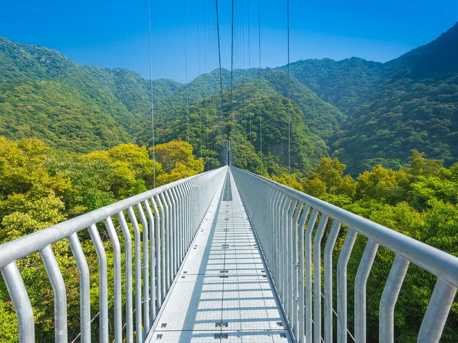 Khám phá 27 vườn hoa đẹp nhất Nhật Bản Cầu kính Kokonoe Yume Otsurihashi | Vườn hoa đẹp nhất Nhật Bản