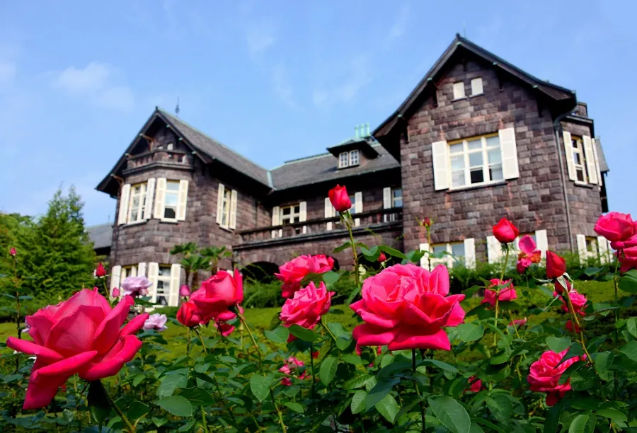 Vườn Kyu-Furukawa | Hoa hồng Nhật Bản