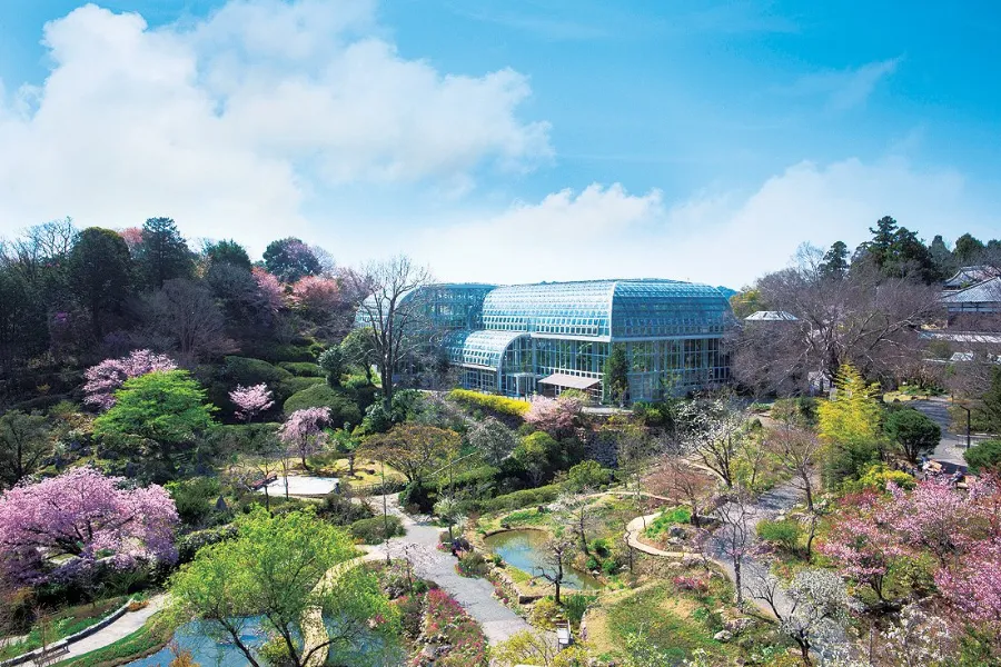 Khám phá 27 vườn hoa đẹp nhất Nhật Bản Vườn bách thảo Makino | Vườn hoa đẹp nhất Nhật Bản