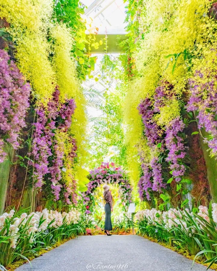 Khám phá 27 vườn hoa đẹp nhất Nhật Bản Vườn bách thảo Makino | Vườn hoa đẹp nhất Nhật Bản