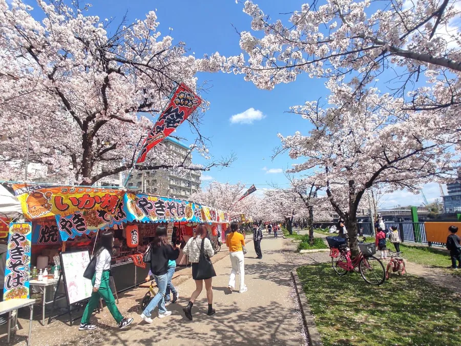 Top 19 địa điểm ngắm hoa anh đào ở Osaka vào mùa xuân Khu phố Namba | Ngắm hoa anh đào ở Osaka