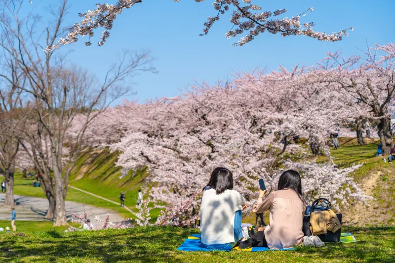 Top 13 địa điểm ngắm hoa anh đào ở Hokkaido Công viên Noboribetsu Onsen | Ngắm hoa anh đào ở Hokkaido