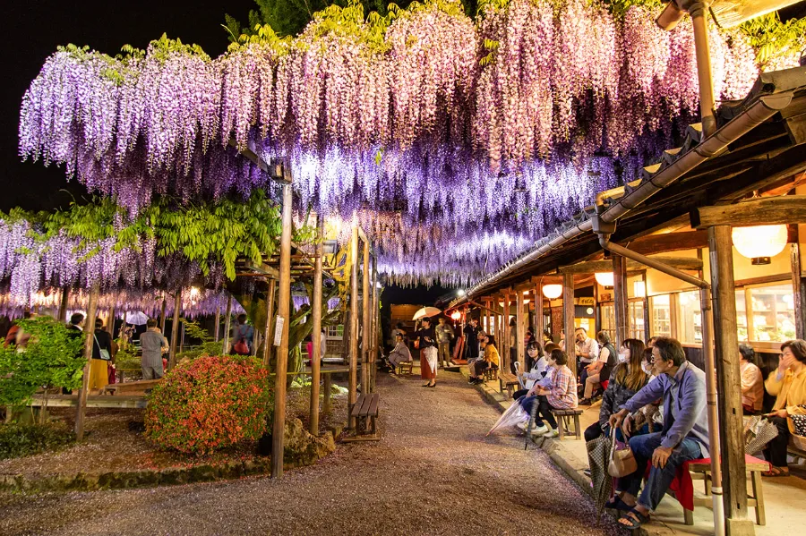 Northern Culture Museum: Khám phá tinh hoa văn hóa Nhật Bản Northern Culture Museum: Khám phá tinh hoa văn hóa Nhật Bản