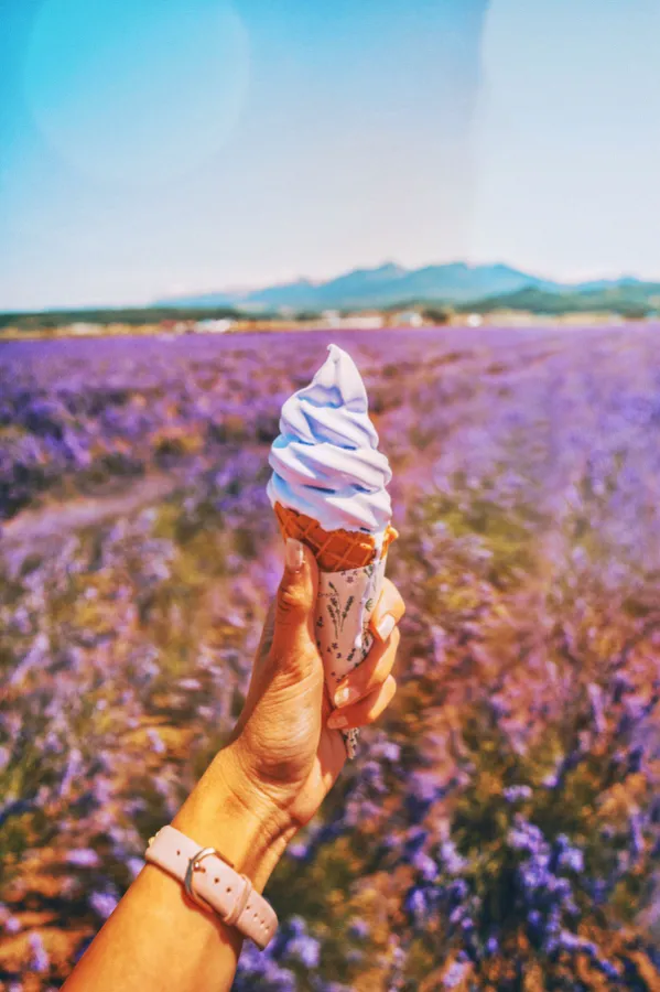 Khám phá 27 vườn hoa đẹp nhất Nhật Bản Saika no Sato | Vườn hoa đẹp nhất Nhật Bản