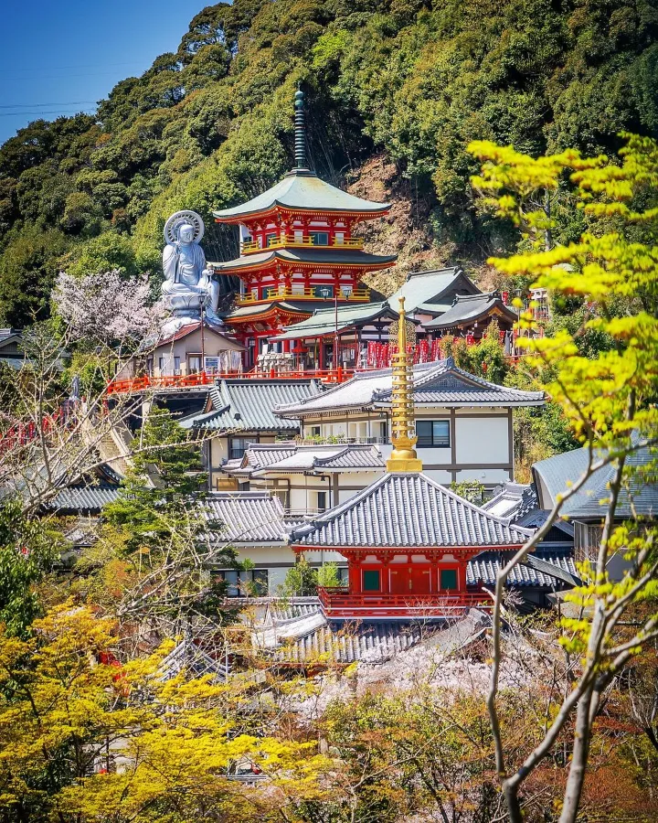 Top 15 địa điểm ngắm hoa anh đào ở Kanagawa Shigisan Chogosonshi-ji Temple | Ngắm hoa anh đào ở Kanagawa