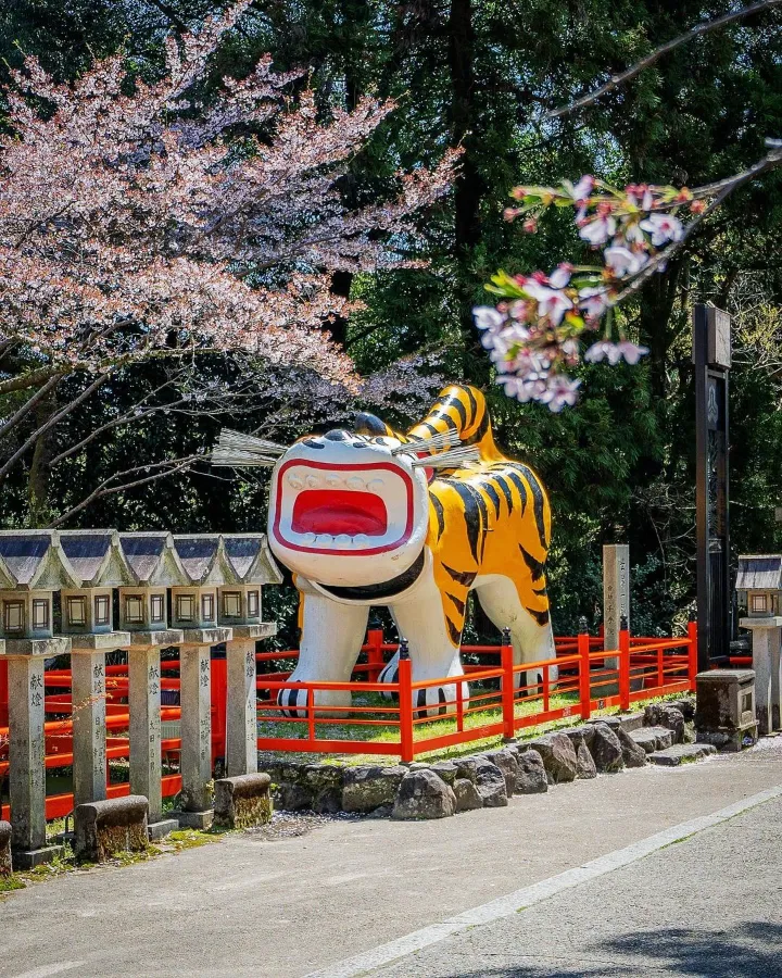 Top 15 địa điểm ngắm hoa anh đào ở Kanagawa Shigisan Chogosonshi-ji Temple | Ngắm hoa anh đào ở Kanagawa