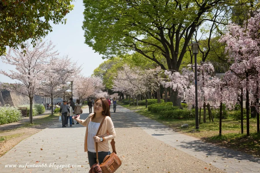 Top 19 địa điểm ngắm hoa anh đào ở Osaka vào mùa xuân Khu phố Shinsekai | Ngắm hoa anh đào ở Osaka