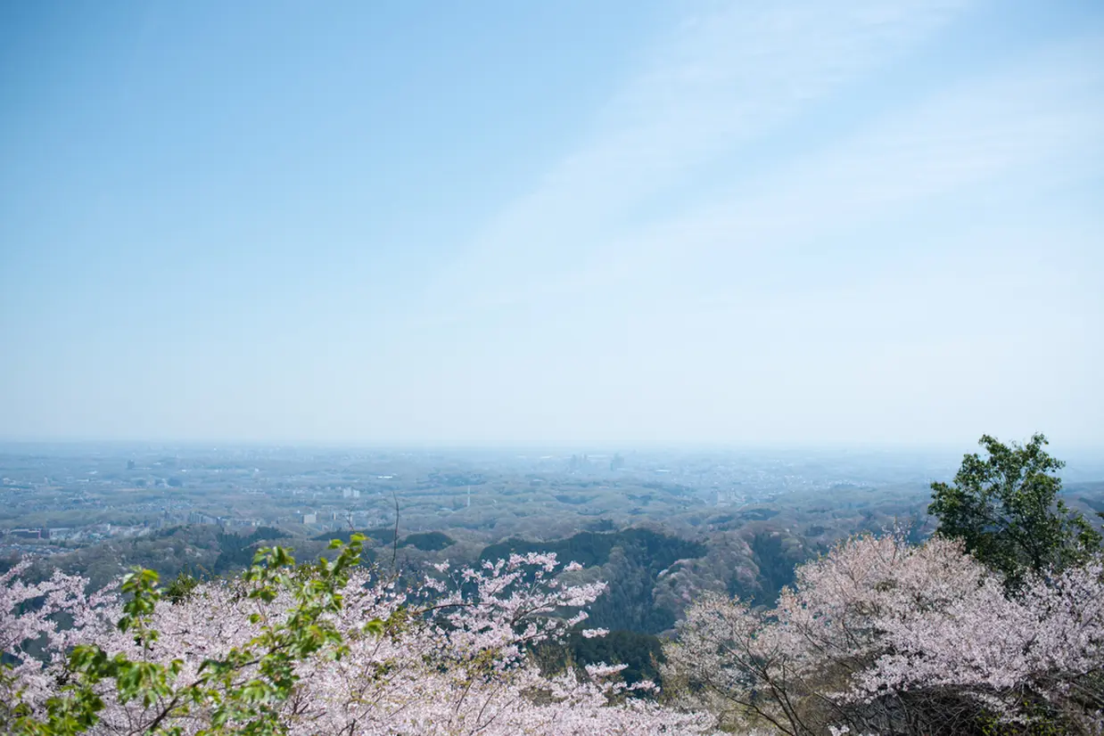 Núi Takao (Takao-san) | Ngắm hoa anh đào ở Tokyo