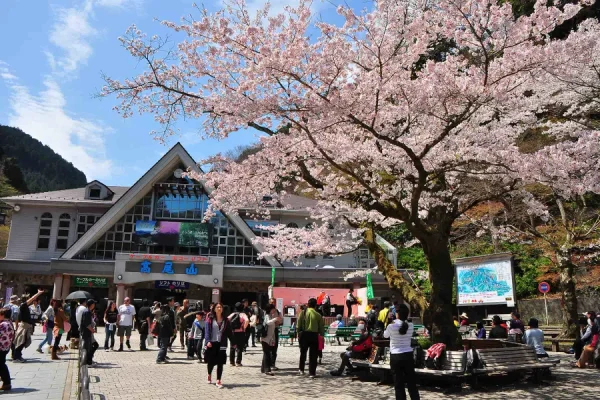 Núi Takao (Takao-san) | Ngắm hoa anh đào ở Tokyo