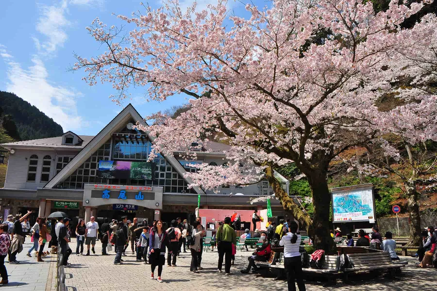 Núi Takao (Takao-san) | Ngắm hoa anh đào ở Tokyo