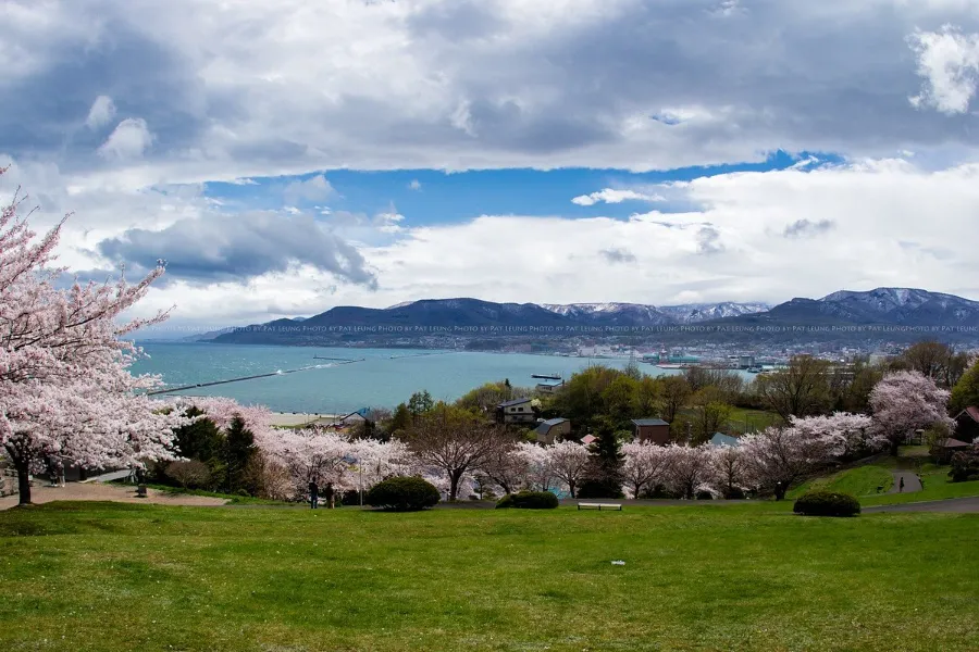 Top 13 địa điểm ngắm hoa anh đào ở Hokkaido Công viên Temiya | Ngắm hoa anh đào ở Hokkaido