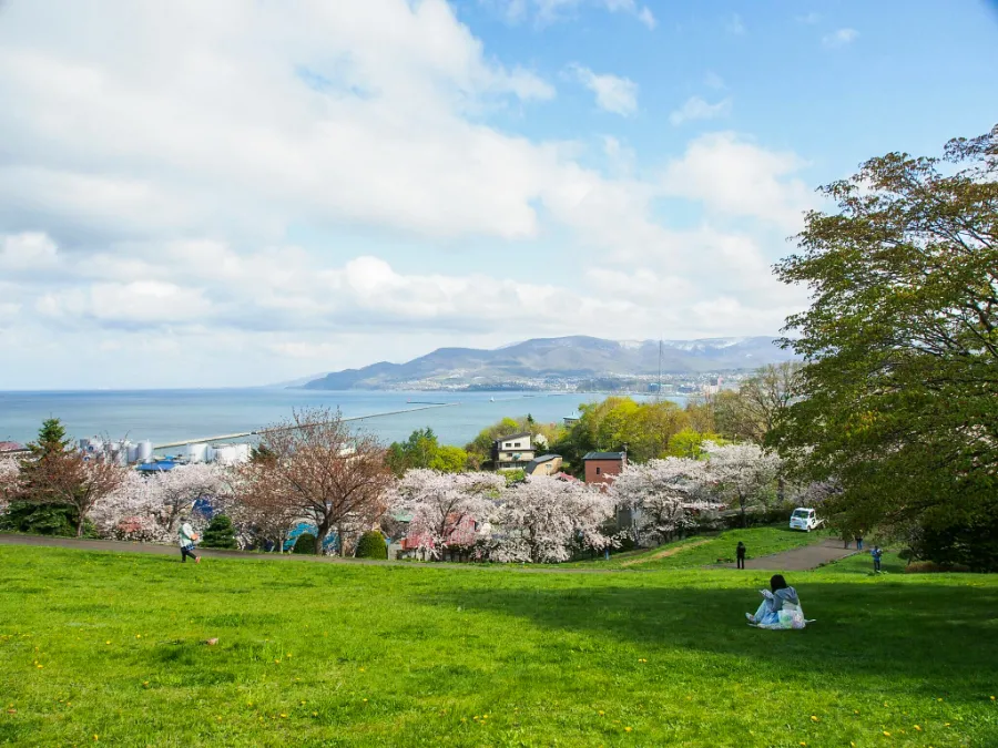 Top 13 địa điểm ngắm hoa anh đào ở Hokkaido Công viên Temiya | Ngắm hoa anh đào ở Hokkaido