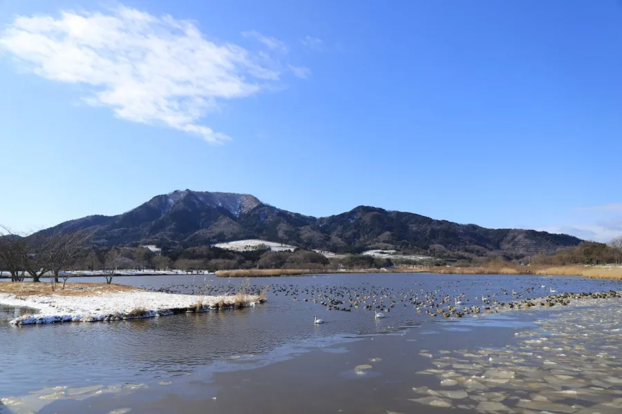 Uwasekigata Park: Góc thiên nhiên thanh bình giữa lòng Niigata Uwasekigata Park: Góc thiên nhiên thanh bình giữa lòng Niigata