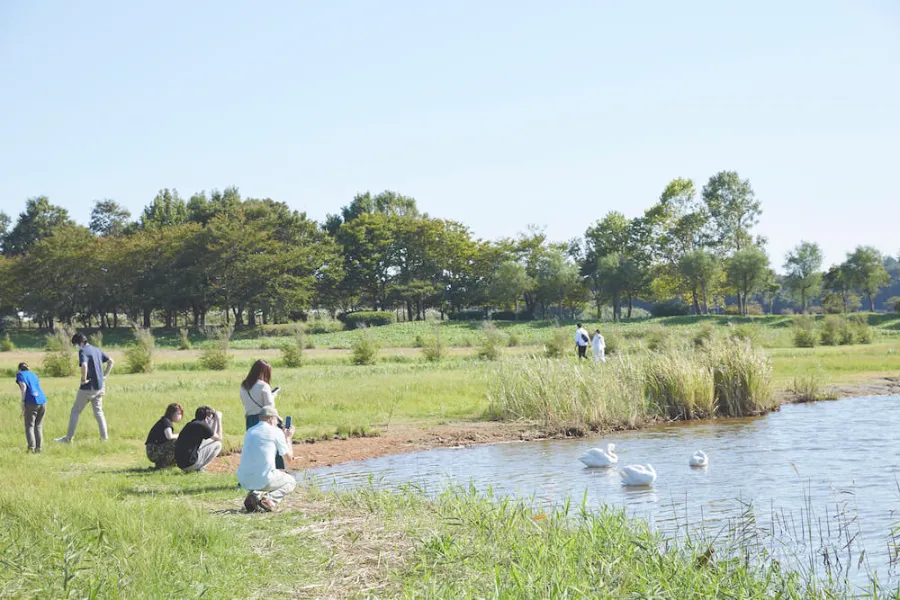 Uwasekigata Park: Góc thiên nhiên thanh bình giữa lòng Niigata Uwasekigata Park: Góc thiên nhiên thanh bình giữa lòng Niigata