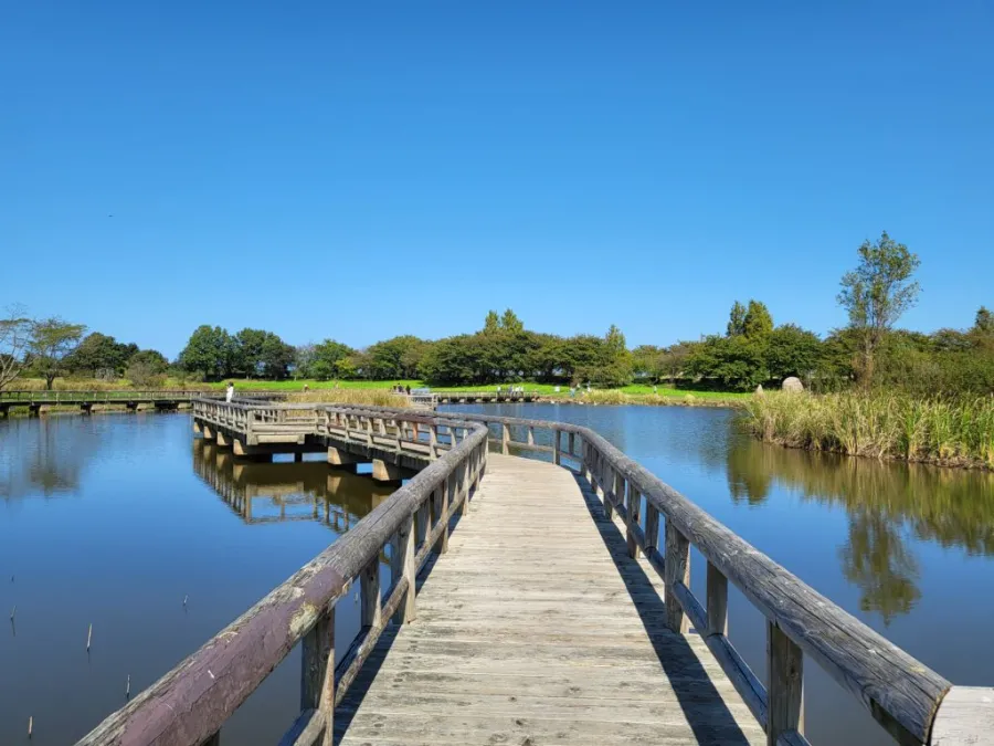 Uwasekigata Park: Góc thiên nhiên thanh bình giữa lòng Niigata Uwasekigata Park: Góc thiên nhiên thanh bình giữa lòng Niigata