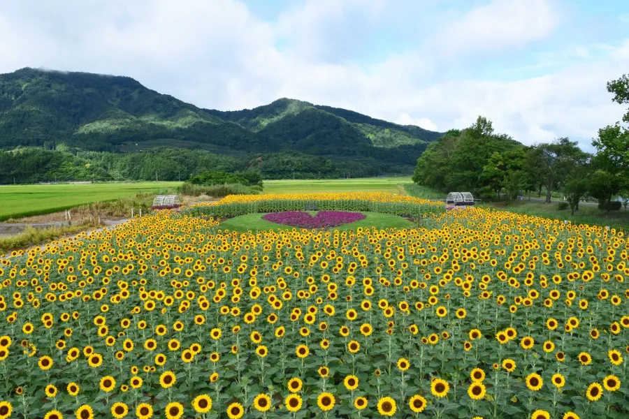 Uwasekigata Park: Góc thiên nhiên thanh bình giữa lòng Niigata Uwasekigata Park: Góc thiên nhiên thanh bình giữa lòng Niigata