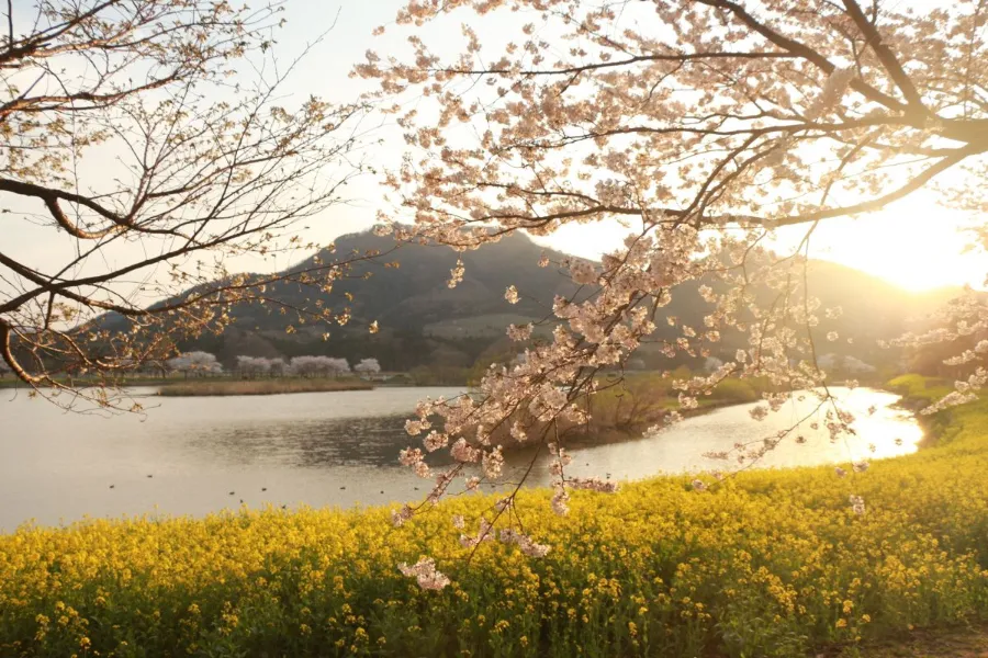 Uwasekigata Park: Góc thiên nhiên thanh bình giữa lòng Niigata Uwasekigata Park: Góc thiên nhiên thanh bình giữa lòng Niigata
