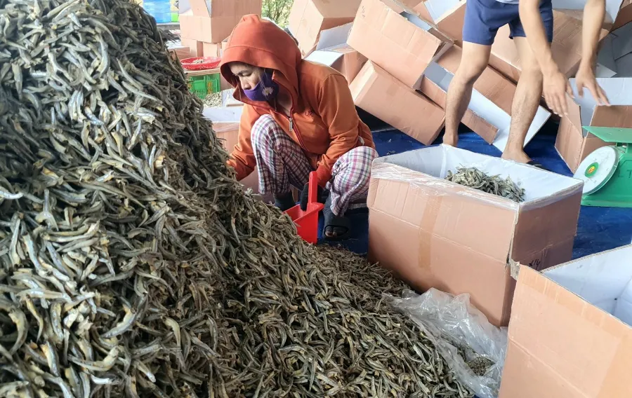 Cá khô có được mang lên máy bay không? 