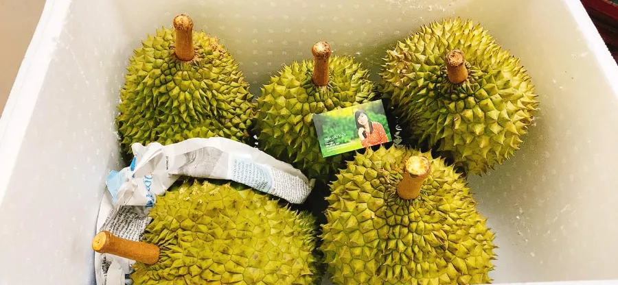 Có được mang sầu riêng lên máy bay không?
