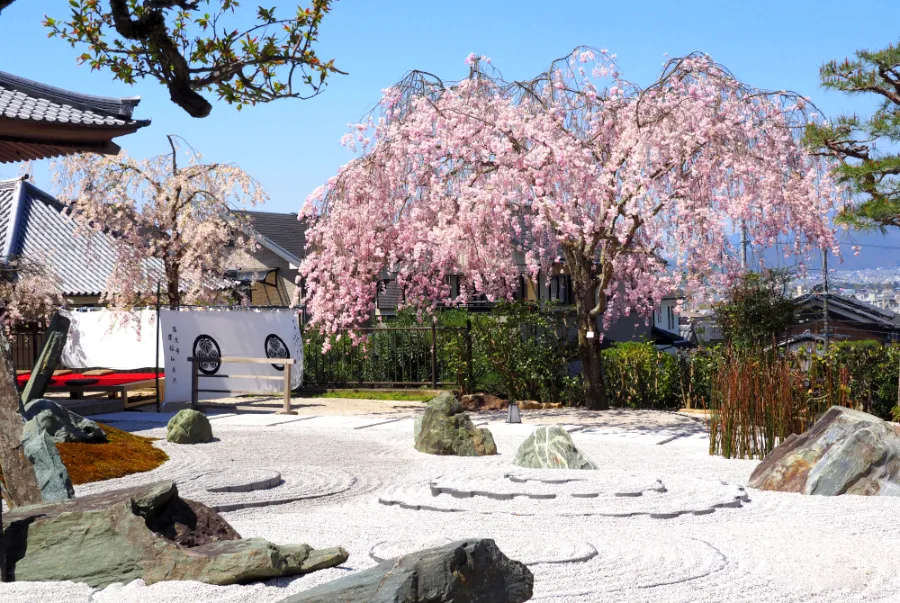 Chùa Enko-ji | Hoa anh đào ở Kyoto