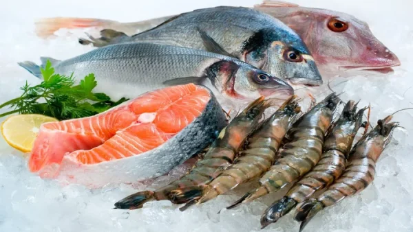 Hải sản có được mang lên máy bay không?