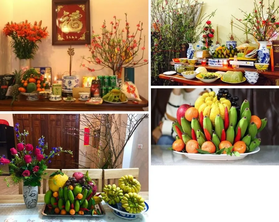 So Sánh Hoa Đào Việt Nam và Hoa Anh Đào Nhật Bản