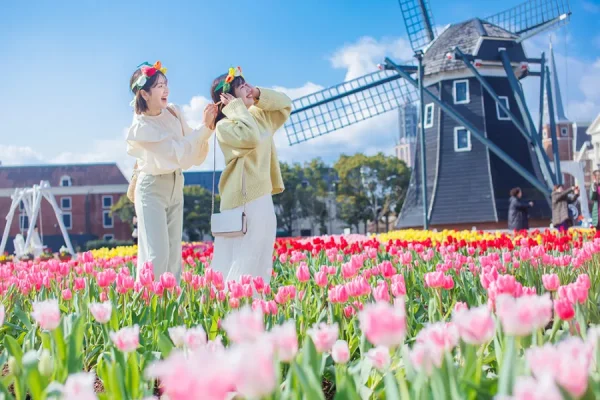 Top 9 loại hoa đẹp nhất nở vào mùa xuân ở Nhật Bản Hoa tulip Nhật Bản | Các loài hoa Nhật Bản nổi tiếng nhất