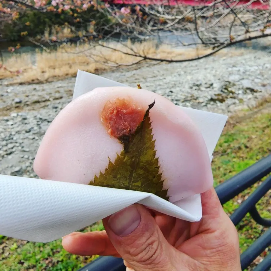 Mùa Hoa Anh Đào Nhật Bản: Vẻ Đẹp Ngàn Năm Trong Giấc Mơ Hồng