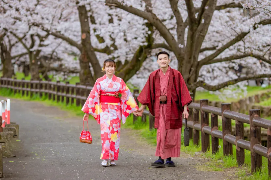 Mùa Hoa Anh Đào Nhật Bản: Vẻ Đẹp Ngàn Năm Trong Giấc Mơ Hồng