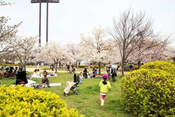 Vườn Bách thảo Nagai | Ngắm hoa anh đào ở Osaka