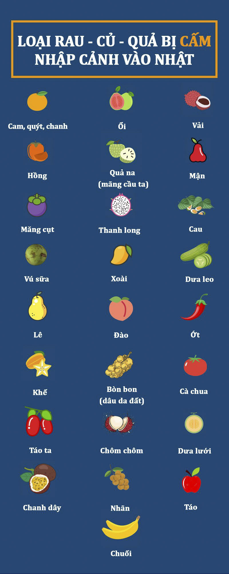Những đồ cấm mang sang Nhật để tránh rắc rối