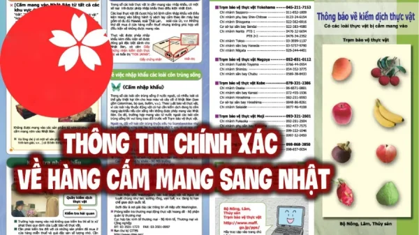 Những đồ cấm mang sang Nhật để tránh rắc rối
