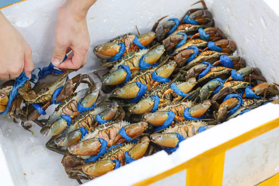 Có được mang đồ tươi sống lên máy bay không?