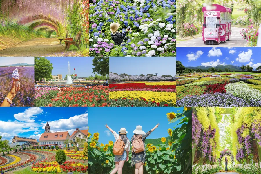 Khám phá 27 vườn hoa đẹp nhất Nhật Bản Top 27 vườn hoa Nhật Bản đẹp | Du lịch Nhật Bản