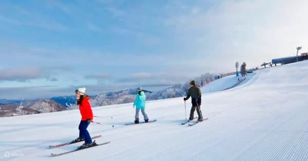 Du lịch Kyoto mùa đông: Vẻ đẹp trầm mặc của cố đô ngàn năm