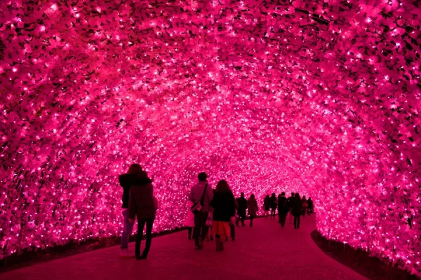 Nagoya mùa đông: bản tình ca của tuyết trắng và ánh sáng