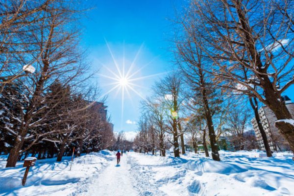 Du lịch Hiroshima mùa đông: Trải ngiệm vẻ đẹp tuyết trắng, văn hóa và ẩm thực độc đáo Du lịch Hiroshima mùa đông: Trải ngiệm vẻ đẹp tuyết trắng