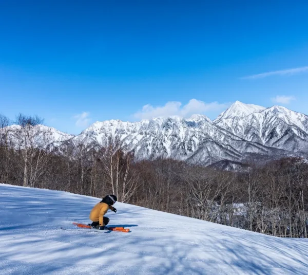 Togakushi Ski Resort: Trượt tuyết và Khám phá Văn hóa