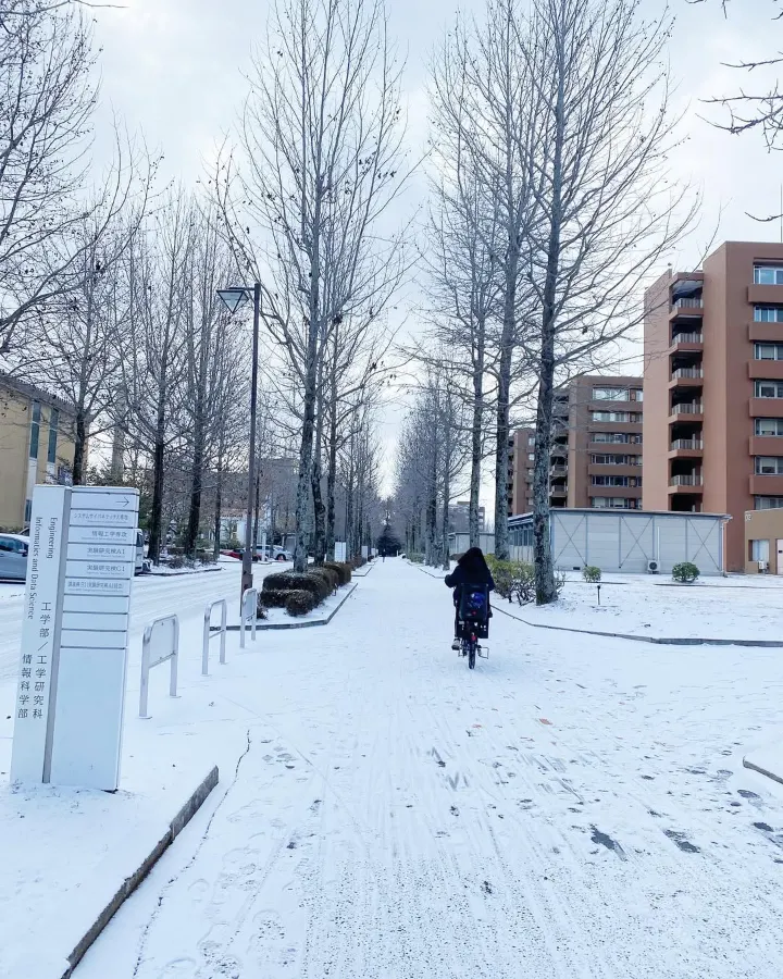 Du lịch Hiroshima mùa đông: Trải ngiệm vẻ đẹp tuyết trắng, văn hóa và ẩm thực độc đáo Du lịch Hiroshima mùa đông: Trải ngiệm vẻ đẹp tuyết trắng