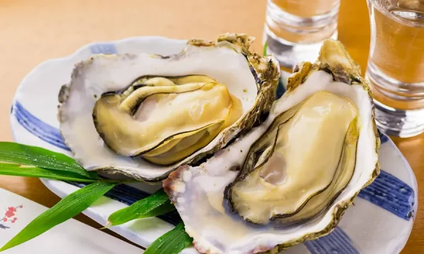 Du lịch Hiroshima mùa đông: Trải ngiệm vẻ đẹp tuyết trắng, văn hóa và ẩm thực độc đáo Du lịch Hiroshima mùa đông: Trải ngiệm vẻ đẹp tuyết trắng