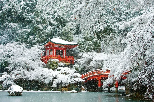 Du lịch Kyoto mùa đông: Vẻ đẹp trầm mặc của cố đô ngàn năm