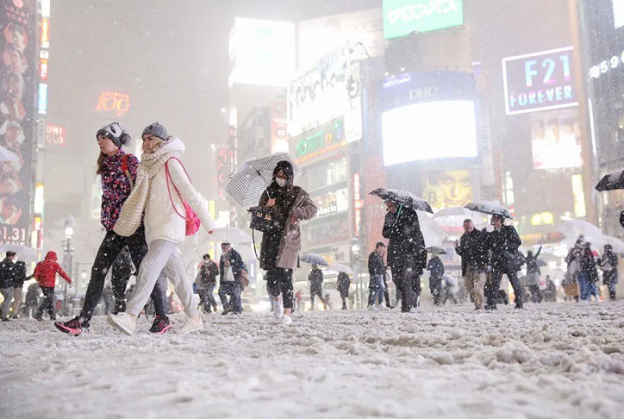 Những trải nghiệm vào mùa đông ở Tokyo Nhật Bản