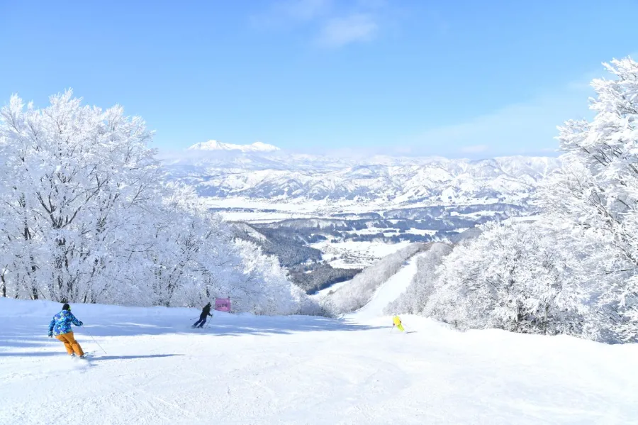 Nozawa Onsen (Nagano)