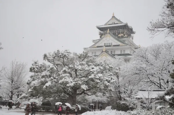 7 Trải Nghiệm Mùa Đông Kỳ Diệu Ở Osaka Nhật Bản 7 Trải Nghiệm Mùa Đông Kỳ Diệu Ở Osaka Nhật Bản