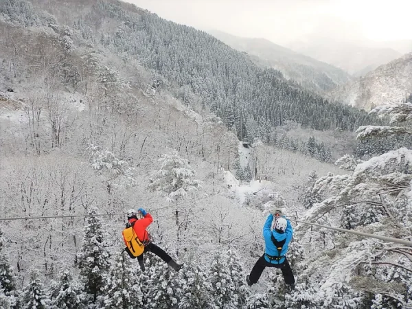 Hakuba Goryu Snow Resort: Thiên đường tuyết trắng giữa lòng Nhật Bản