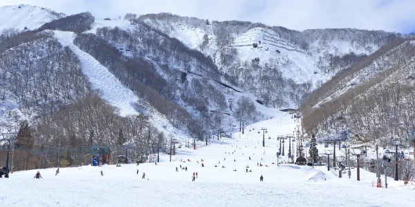 Hakuba Goryu Snow Resort: Thiên đường tuyết trắng giữa lòng Nhật Bản
