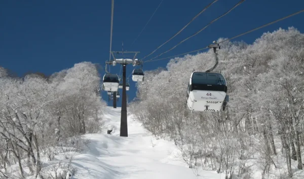 Hakuba Goryu Snow Resort: Thiên đường tuyết trắng giữa lòng Nhật Bản