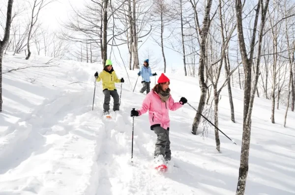 Hakuba Iwatake Mountain Resort - Khu nghỉ dưỡng trong mơ