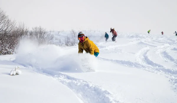 Hakuba Iwatake Mountain Resort - Khu nghỉ dưỡng trong mơ